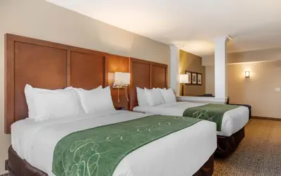 Comfort Inn & Suites Schenectady - Scotia