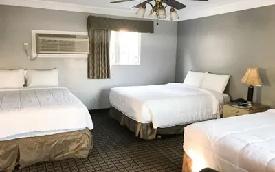 Viking Motel-Ventura