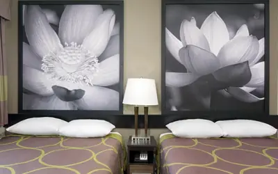 Super 8 by Wyndham Florence