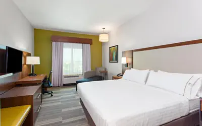 Holiday Inn Express & Suites Houston S - Medical Ctr Area by IHG