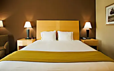 Holiday Inn Express Hotel and Suites Borger by IHG