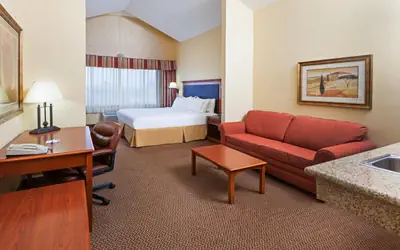 Holiday Inn Express & Suites - Laredo-Event Center Area by IHG