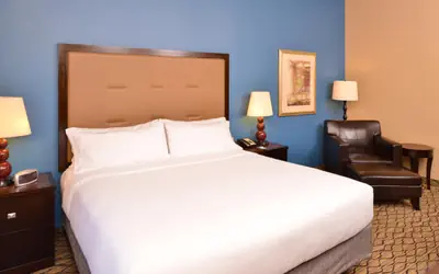 Holiday Inn Express & Suites Wichita Falls by IHG