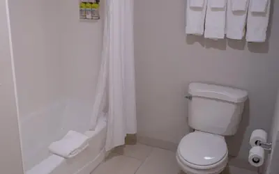 Holiday Inn Express Hotel & Suites Conover - Hickory Area by IHG