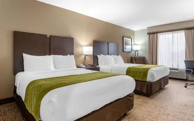 Comfort Inn Pearl-Jackson