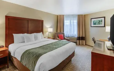 Comfort Inn Missoula near University