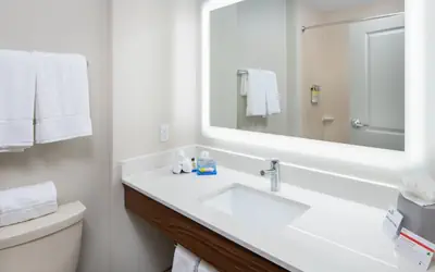 Holiday Inn Express Hotel & Suites Dallas South - DeSoto by IHG