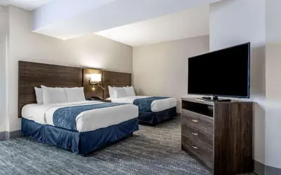 Comfort Suites McDonough Atlanta South