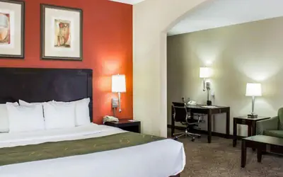 Comfort Suites Regency Park