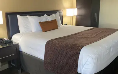 Wingate by Wyndham Springfield