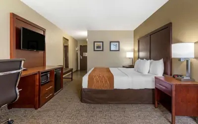 Comfort Inn Charlotte Airport Uptown
