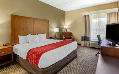 Comfort Inn Waynesboro