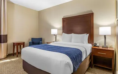 Comfort Inn Near Greenfield Village