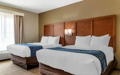 Comfort Suites Buda - Austin South