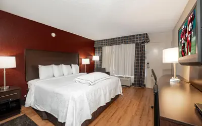 Red Roof Inn PLUS+ St. Augustine