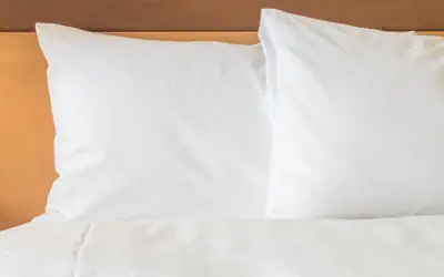 Holiday Inn Williamsport by IHG