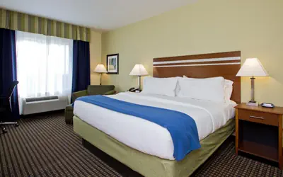 Holiday Inn Express and Suites Denver East Peoria Street by IHG
