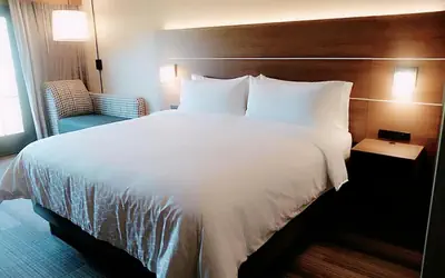 Holiday Inn Express Durango Downtown- Animas River