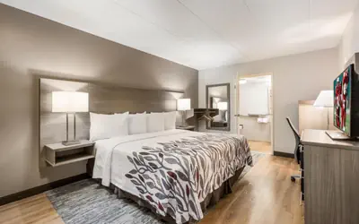 Red Roof Inn Lansing West - MSU