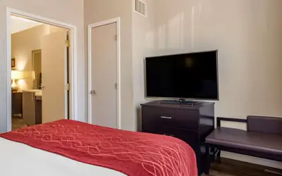 Comfort Inn & Suites near Six Flags