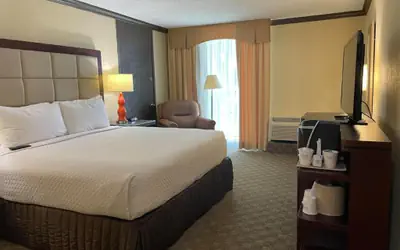 Wingate Houston near NRG Park/Medical Center