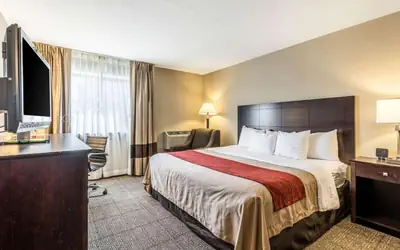 Comfort Inn Lansing West