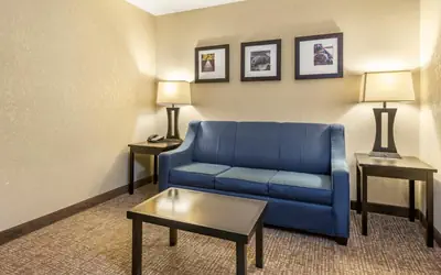 Comfort Inn & Suites Allen Park - Dearborn