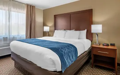 Comfort Inn Near Kokomo Speedway