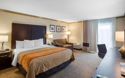 Comfort Inn Castro Valley