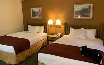 AmericInn by Wyndham Cody