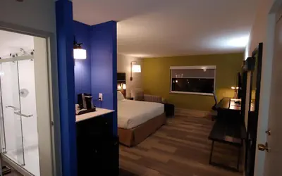 Holiday Inn Express Schaumburg-Rolling Meadows by IHG