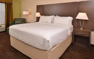 Holiday Inn Express & Suites Dearborn SW - Detroit Area by IHG