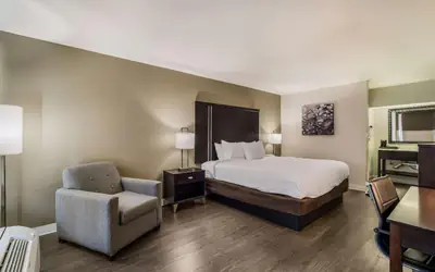 Clarion Inn & Suites Florence - Darlington