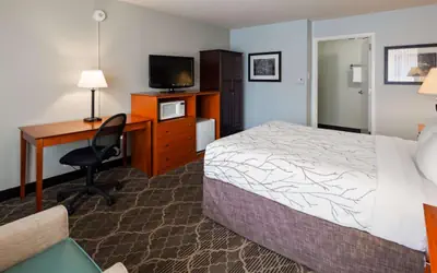 Best Western Fredericksburg