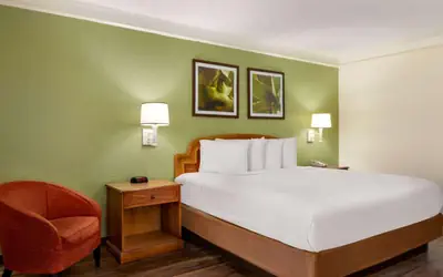 Baymont by Wyndham Intl Speedway I-95 Daytona Beach