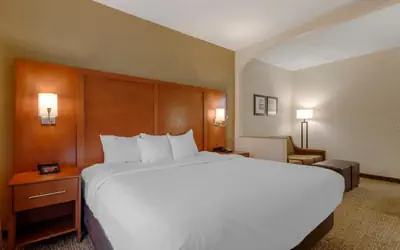 Comfort Suites Columbus State University Area