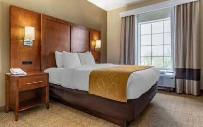 Comfort Suites Myrtle Beach Central