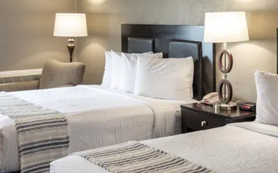 THE BRANSINN Entertainment District