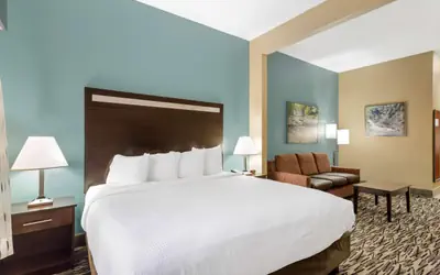 Best Western Plus McDonough Inn & Suites