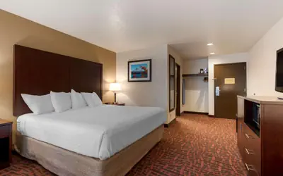 Best Western Pony Soldier