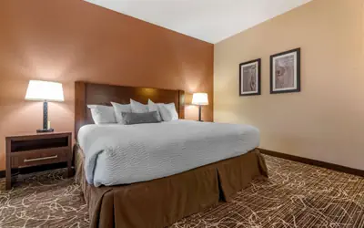 Best Western Plus Chelsea Hotel