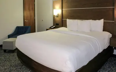 Comfort Inn & Suites Near Lake Guntersville