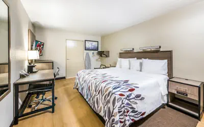 Red Roof Inn Dayton South - Miamisburg