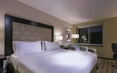 Holiday Inn Express & Suites Colorado Springs Central by IHG