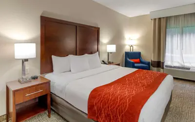 Comfort Inn & Suites Canton Riverstone Area