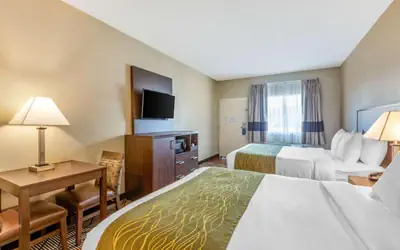 Comfort Inn & Suites Orange County John Wayne Airport