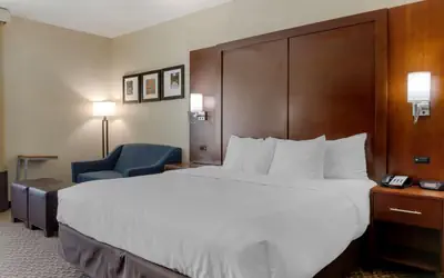 Comfort Inn & Suites Near Six Flags & Medical Center