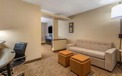 Comfort Inn & Suites North Dallas-Addison