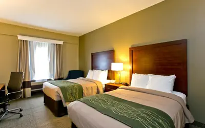 Comfort Inn Aikens Center
