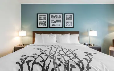 Sleep Inn & Suites West Des Moines near Jordan Creek